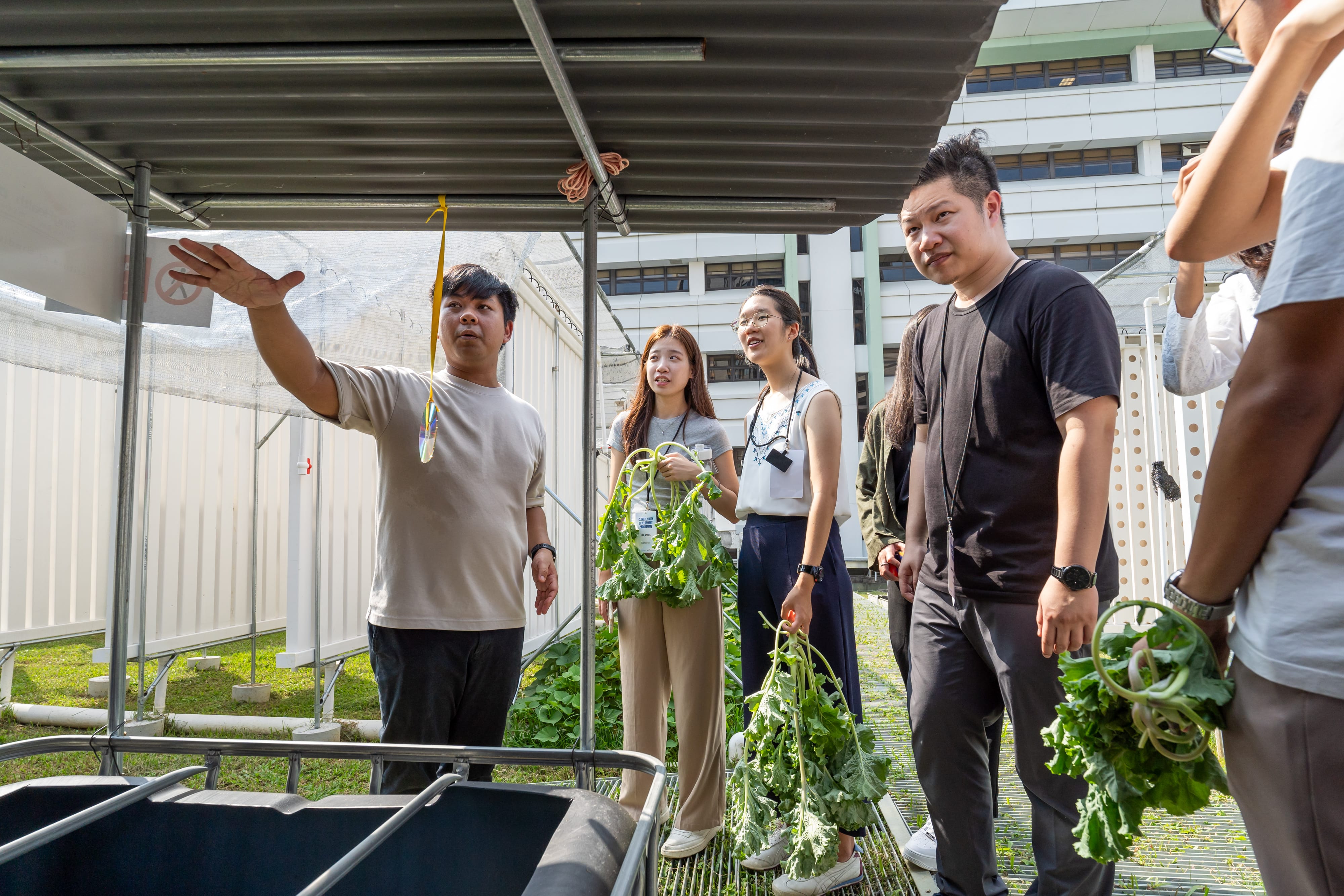 Group of people holding some plants, looking at a shelter.